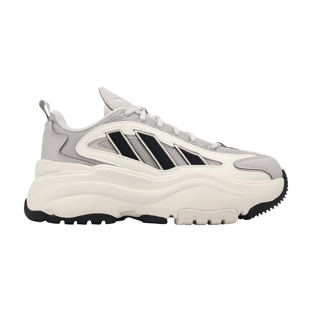 Кроссовки Wmns Ozgaia 'Grey Black'