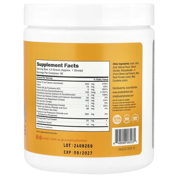 JUNP Hydration, Порошковая смесь электролитов, апельсин, 405 г (14,2 унции)