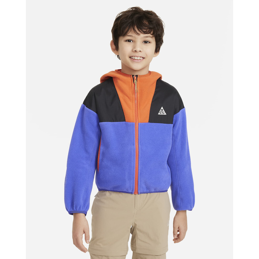 Nike ACG Wolf Tree Big Kids Hoodie Persian Violet Cosmic Clay Black Summit White Qwixit